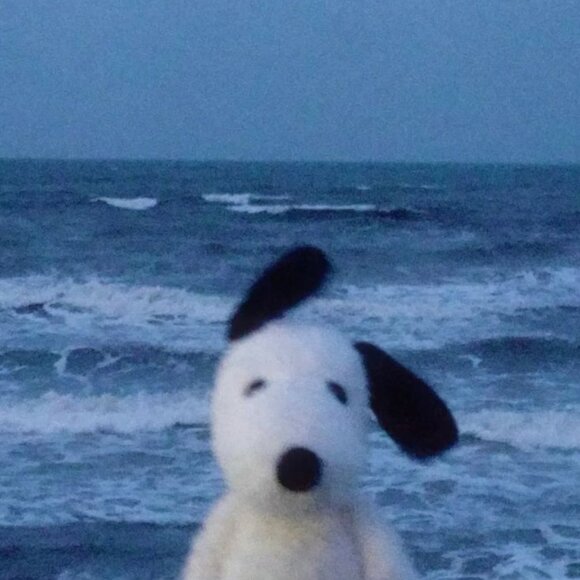 Welcome! - Picture 1 of 2